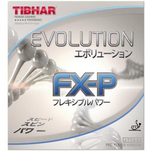 EVOLUTION FX-P ( 에볼루션 FX-P)